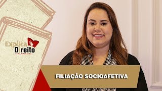 Explica Direito Filiação Socioafetiva  2019 [upl. by Lazaro794]