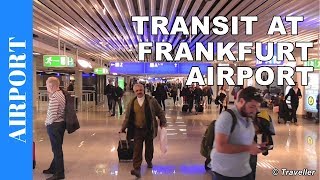 TRANSIT WALK AT FRANKFURT Airport FRA Terminal 1  Connection Flight Transfer Arriving amp Departing [upl. by Betta174]